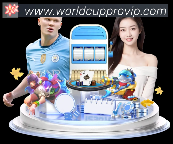 2026世界杯投注入口荣誉